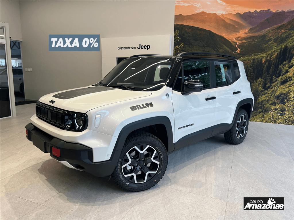 Imagem 1