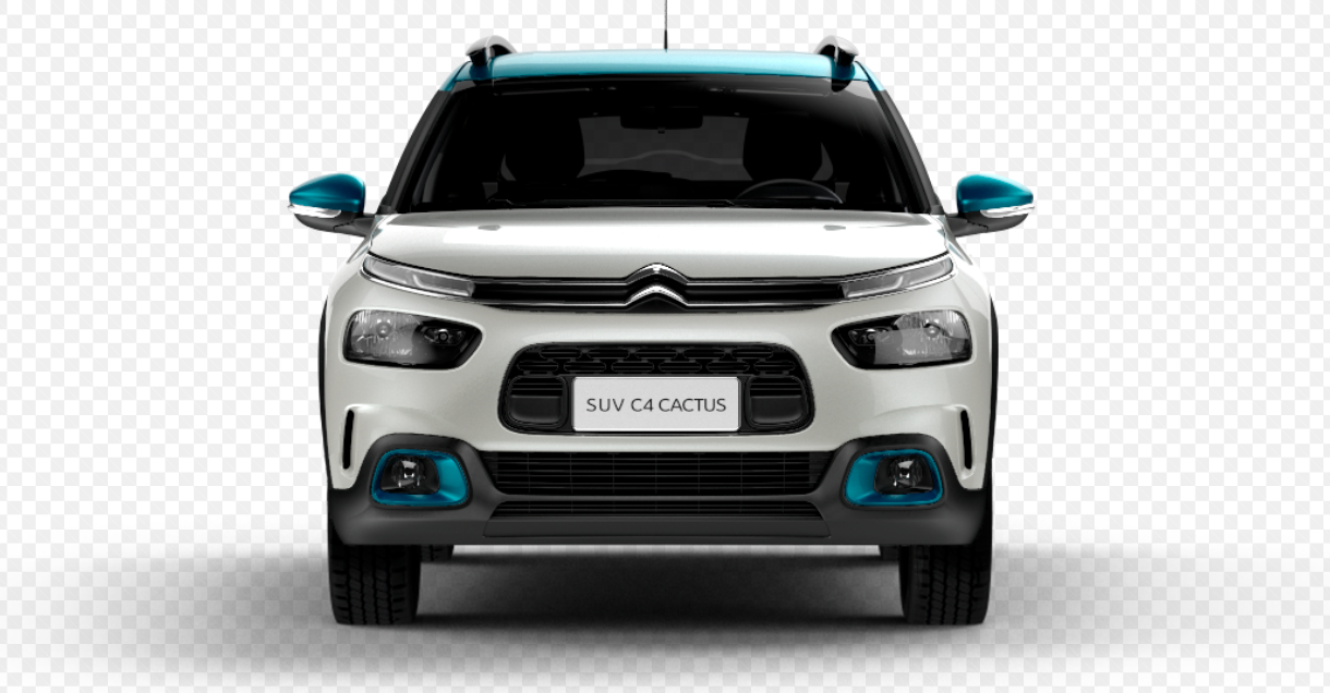 Read more about the article Veja como três veículos Citroën se comportam off-road